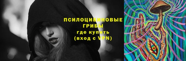 а пвп мука Надым