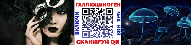 Купить закладки Инсар Галлюциногенные грибы Psilocybe